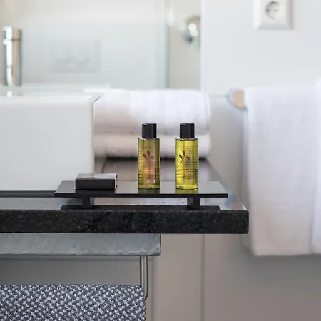 Boutique Bellevue / Basel Otel 3*