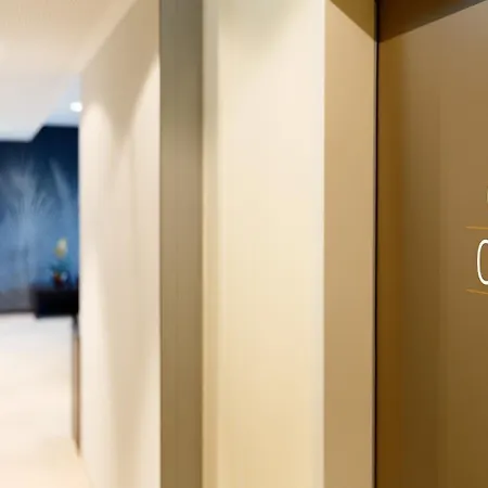 Otel Boutique Bellevue / Basel Rheinfelden (Baden)