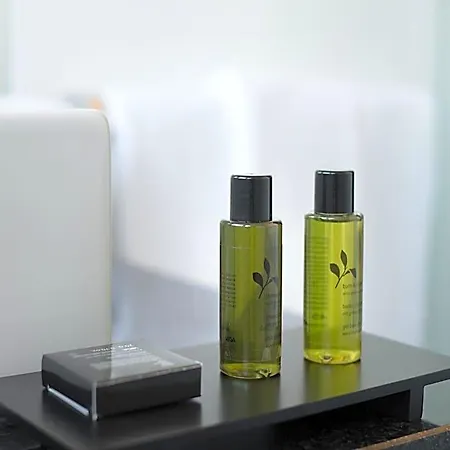Boutique Bellevue / Basel فندق