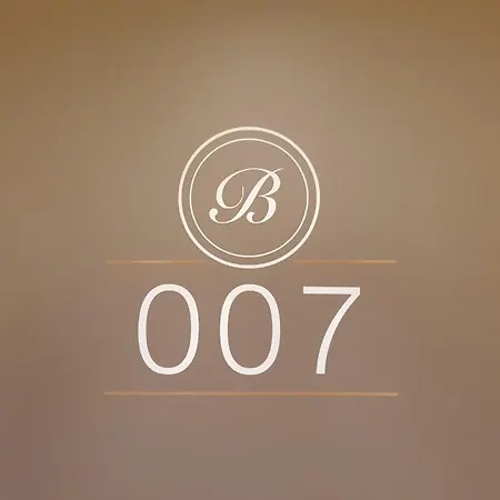 Boutique Bellevue / Basel Otel